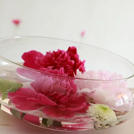 Le Roosevelt 3* Givet